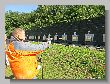 1836_Benchrest-EM-WC_2013-BR50.JPG