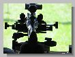 1844_Benchrest-EM-WC_2013-BR50.JPG