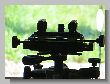 1855_Benchrest-EM-WC_2013-BR50.JPG
