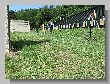 1859_Benchrest-EM-WC_2013-BR50.JPG