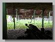 080_Benchrest-BR50-ATPN-Thionville-2016.JPG