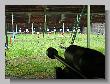 081_Benchrest-BR50-ATPN-Thionville-2016.JPG