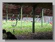 084_Benchrest-BR50-ATPN-Thionville-2016.JPG
